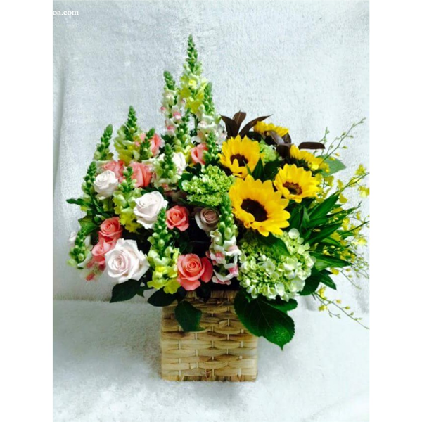 hoa giỏ 038